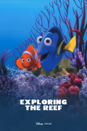Exploring the Reef (2003) Set poster