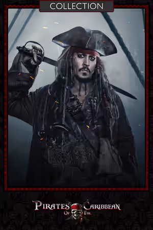 Pirates of the Caribbean Collection poster