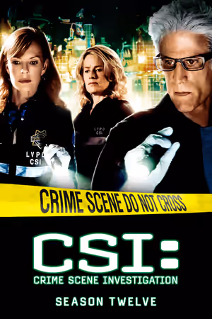 Season 12 poster