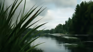 The Marsh King's Daughter (2023) Set backdrop