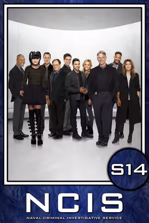 Season 14 poster