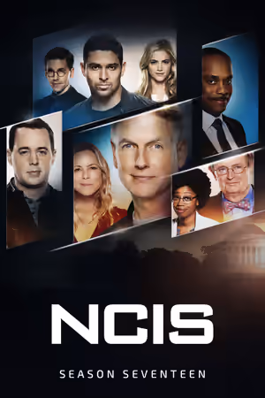 Season 17 poster