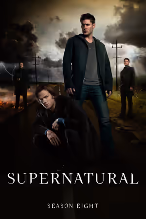 Season 8 poster