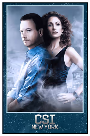 CSI: NY (2004) poster