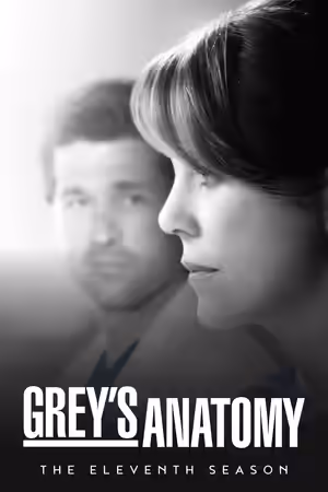 Season 11 poster