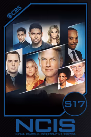 Season 17 poster