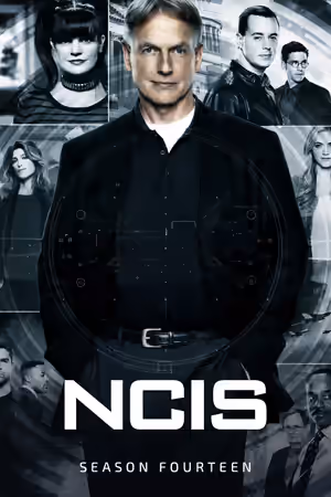 Season 14 poster