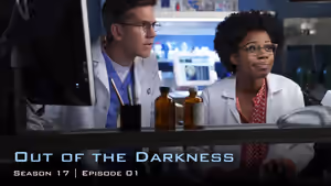 Season 17 titlecard