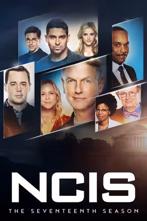 Season 17 poster