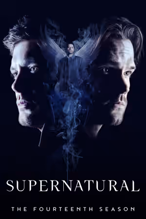 Season 14 poster