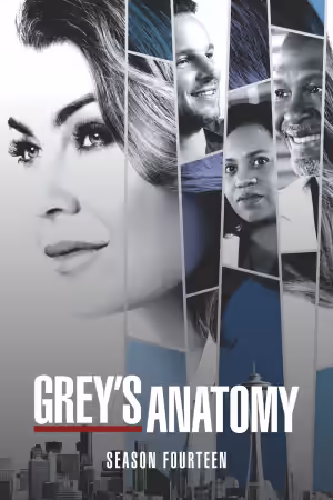 Season 14 poster