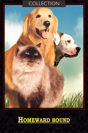 Homeward Bound Collection poster