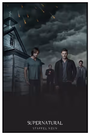 Season 9 poster