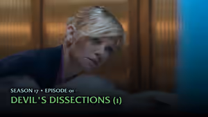 Season 17 titlecard