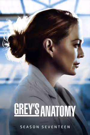 Season 17 poster