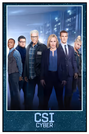 CSI: Cyber (2015) poster