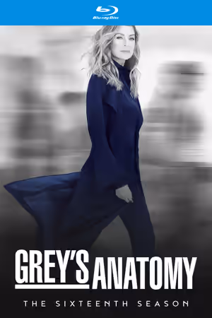 Season 16 poster