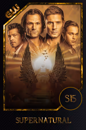 Season 15 poster