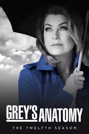 Season 12 poster