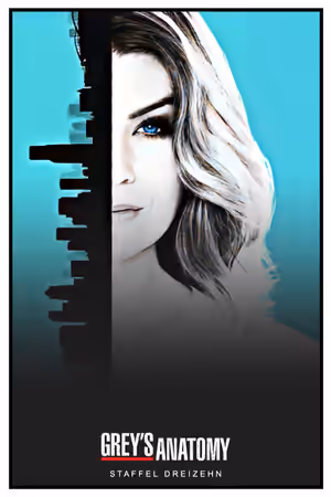 Season 13 poster