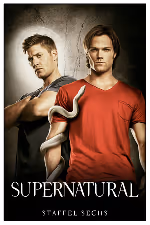 Season 6 poster