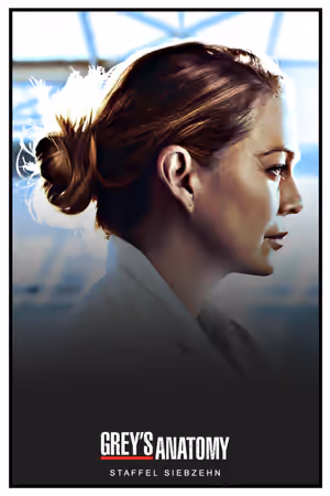 Season 17 poster