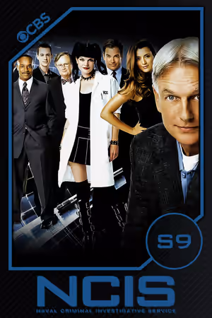 Season 9 poster