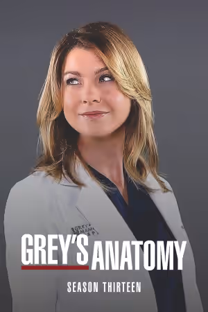 Season 13 poster