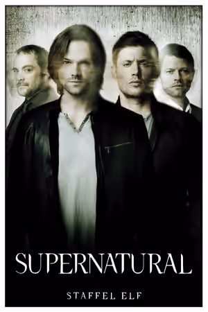 Season 11 poster