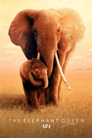 The Elephant Queen (2019) Set poster