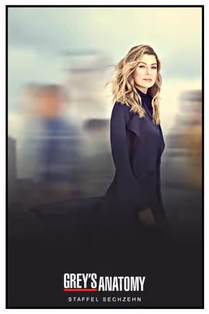 Season 16 poster