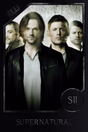 Season 11 poster