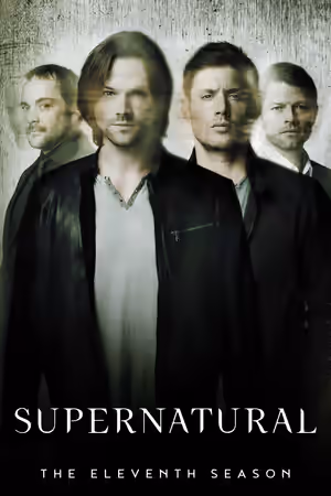 Season 11 poster