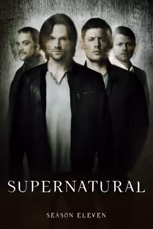 Season 11 poster