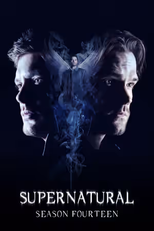 Season 14 poster