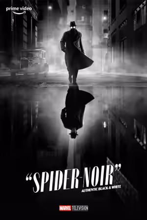 Black & White Version poster