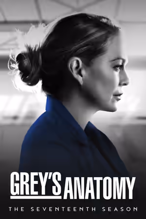 Season 17 poster