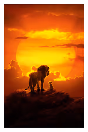 The Lion King (Reboot) Collection poster