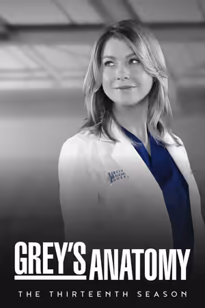 Season 13 poster