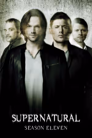 Season 11 poster