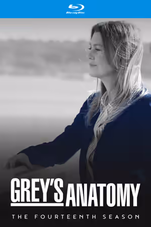 Season 14 poster