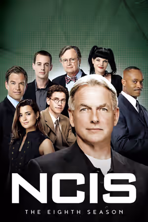 Season 8 poster