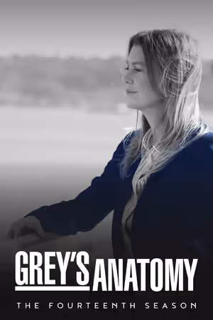 Season 14 poster