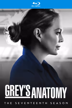 Season 17 poster