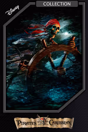 Pirates of the Caribbean Collection poster