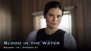 Season 19 titlecard