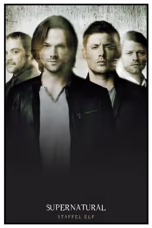 Season 11 poster