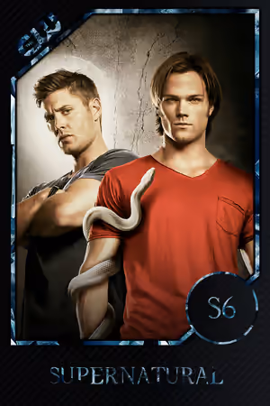 Season 6 poster