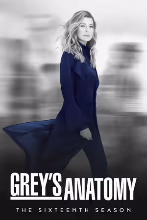 Season 16 poster